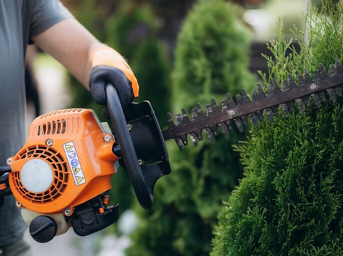 Landscaping